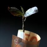 brown and white paper bag